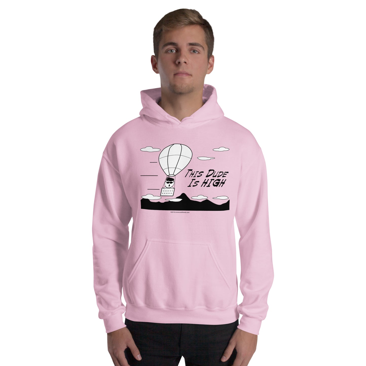 This Dude is High - Hoodie