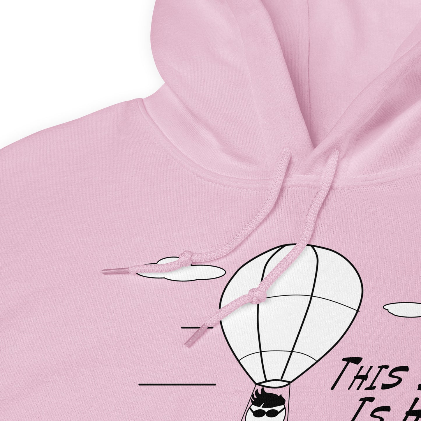 This Dude is High - Hoodie