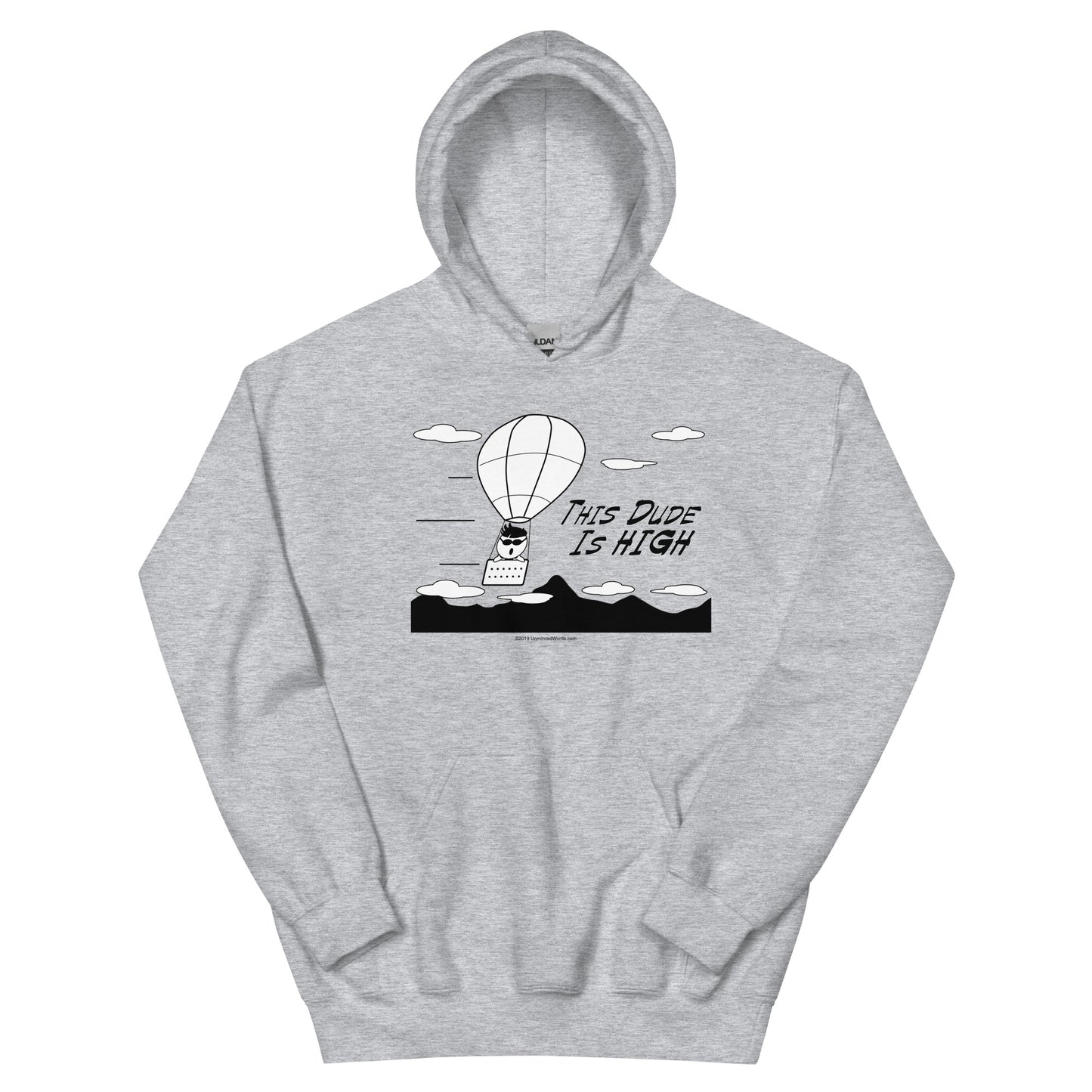 This Dude is High - Hoodie