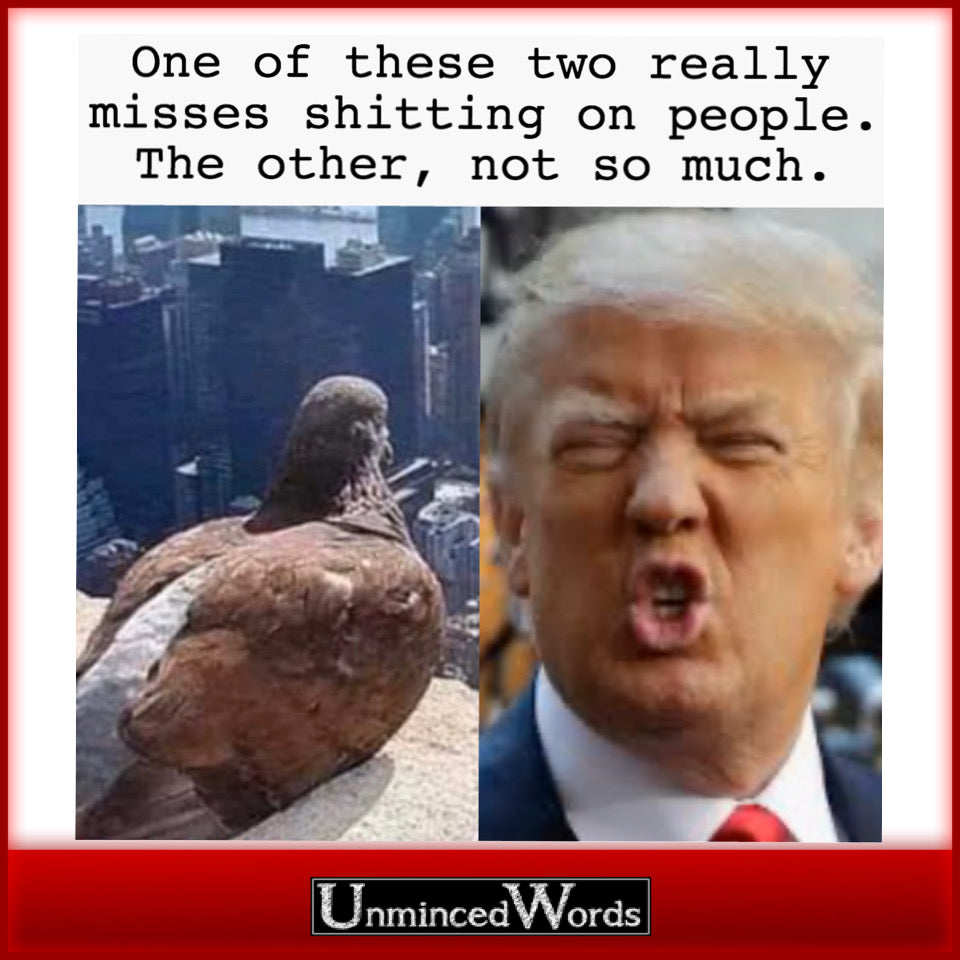 Pigeon vs Trump
