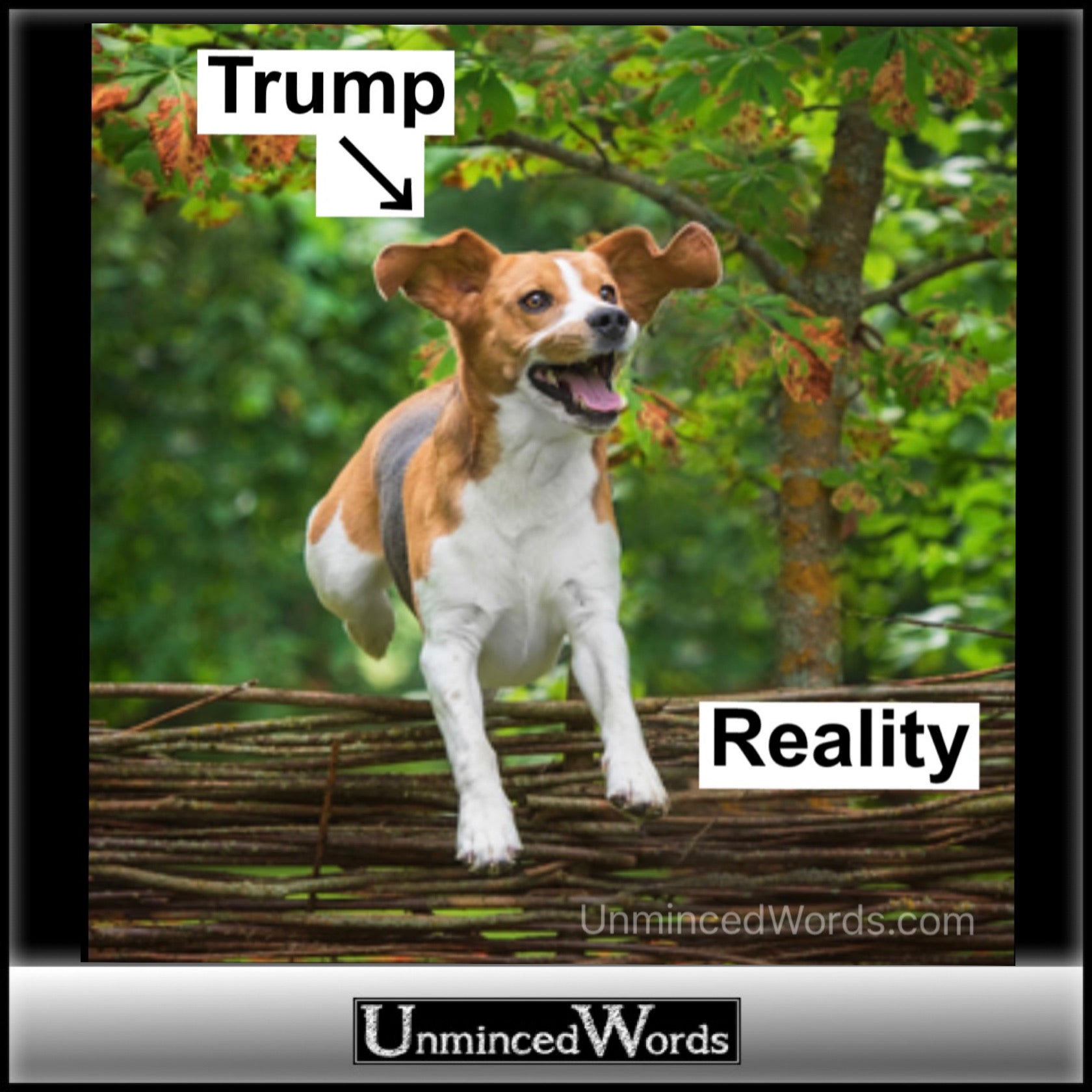 Trump leaping over the fence of reality IS America’s reality.
