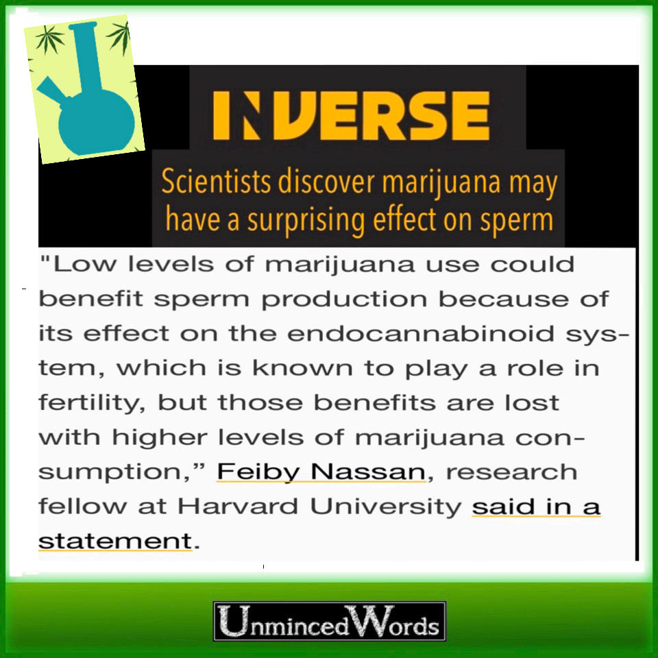 Cannabis usage and sperm count