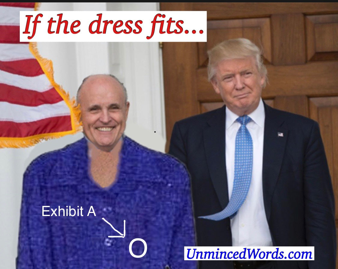 IF THE DRESS FITS...