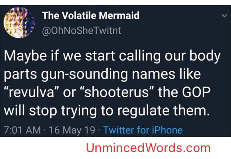 Gun Names for female parts?