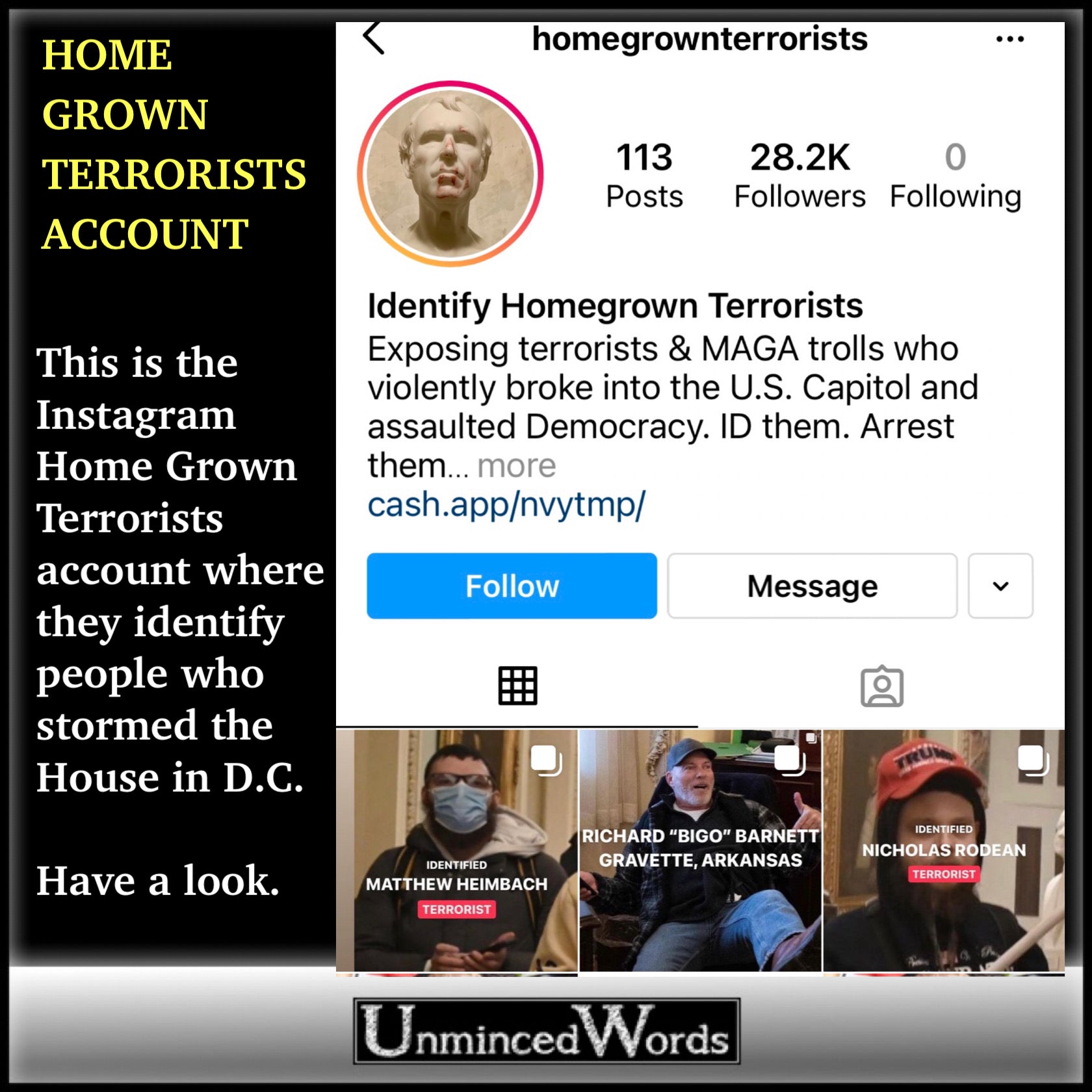 This is the Instagram HOME GROWN TERRORISTS account where they identify people who stormed the House in D.C.