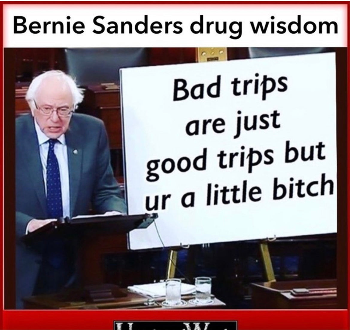 Bernie Sanders drug wisdom