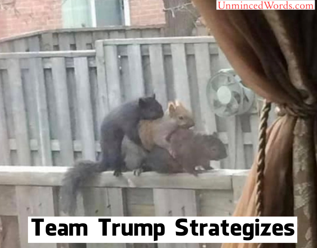 Team Trump Strategizes