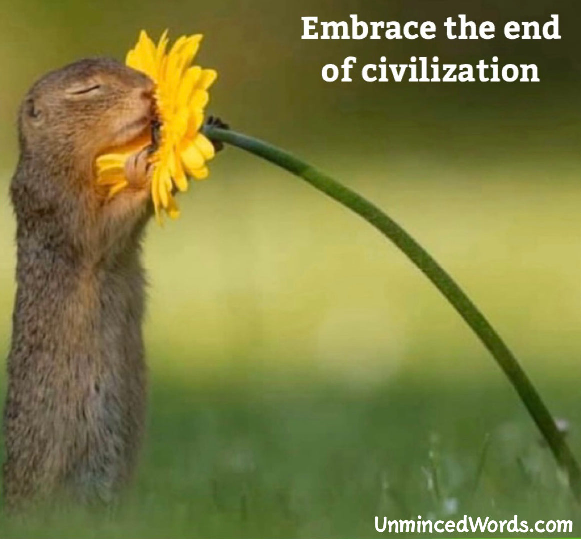 Embrace the end of civilization