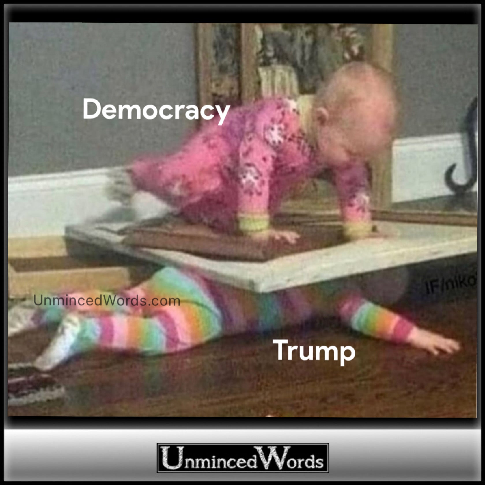 ‘Democracy and Trump’ meme completed my weekend