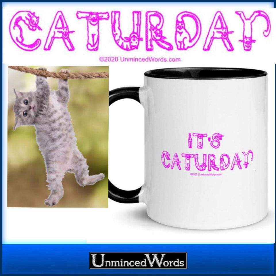 International Cat Day 2020: It’s CATURDAY! For cat lovers.