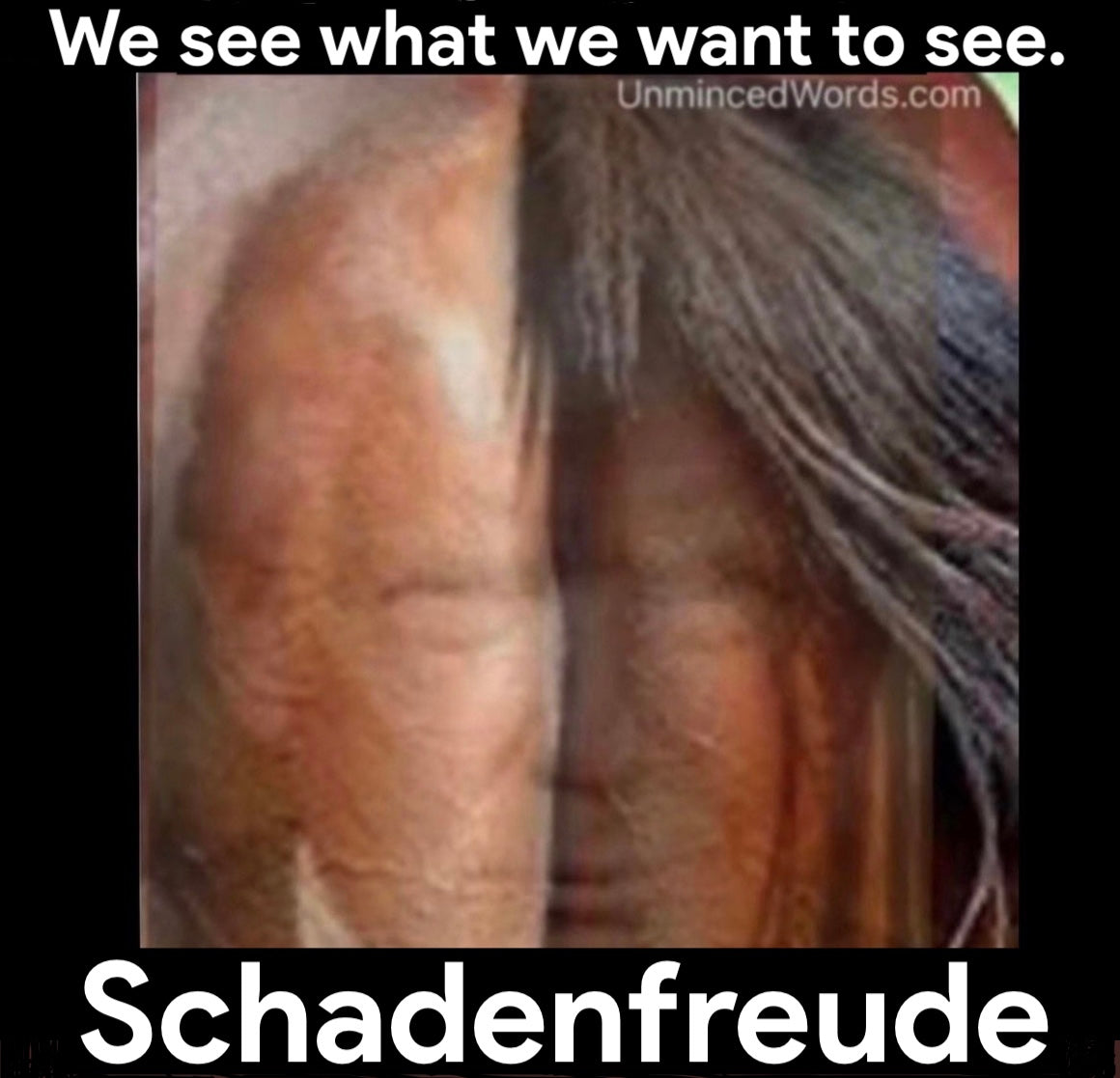 We see what we want to see.  schadenfreude