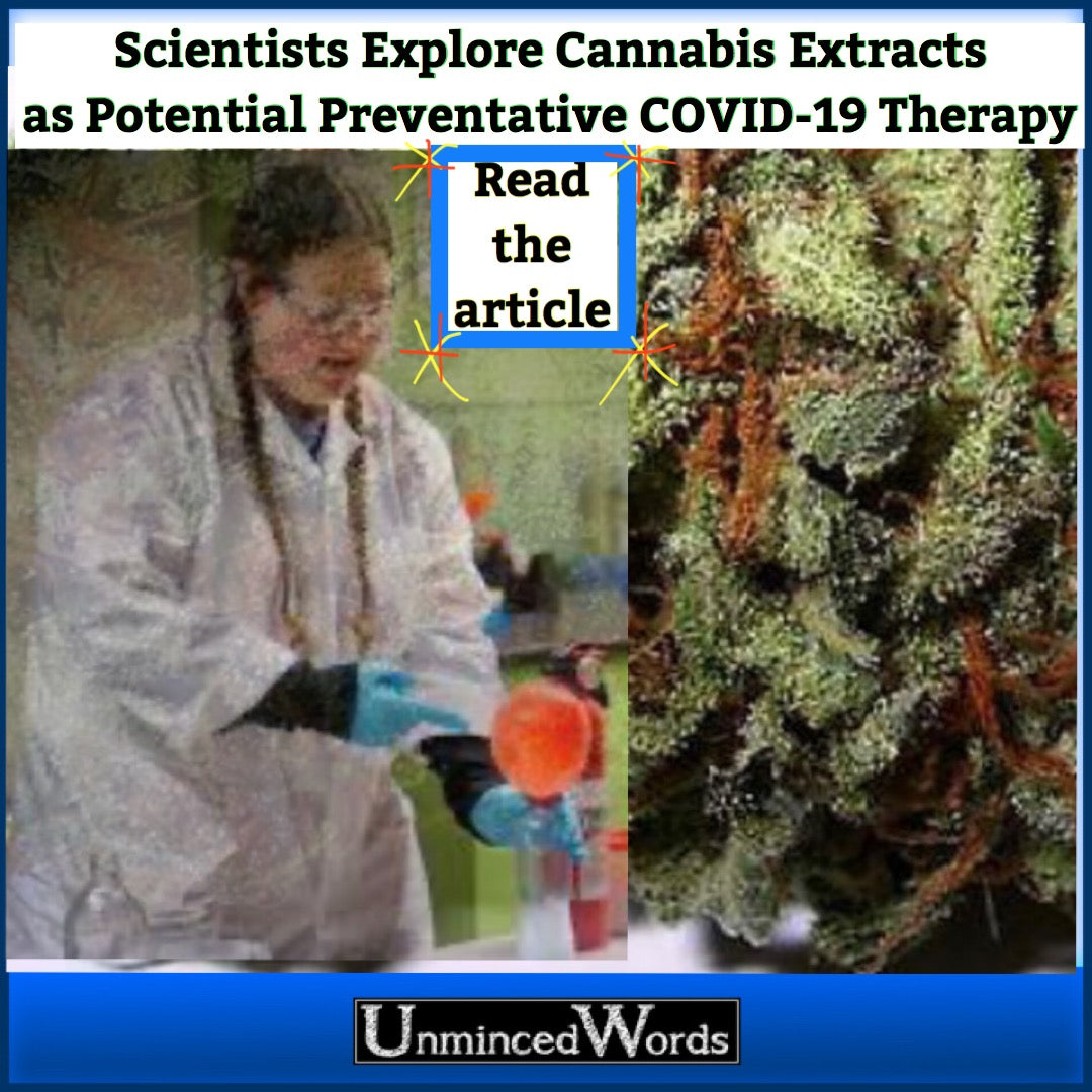 Scientists Explore Cannabis Extracts as Potential Preventative COVID-19 Therapy