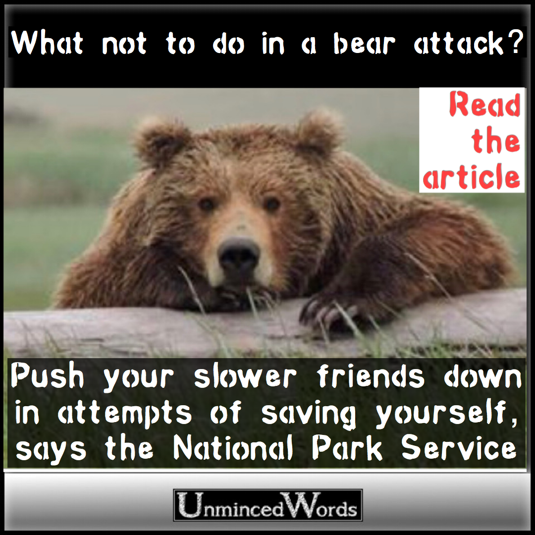 What not to do in a bear attack? Push your slower friends down in attempts of saving yourself, says the National Park Service
