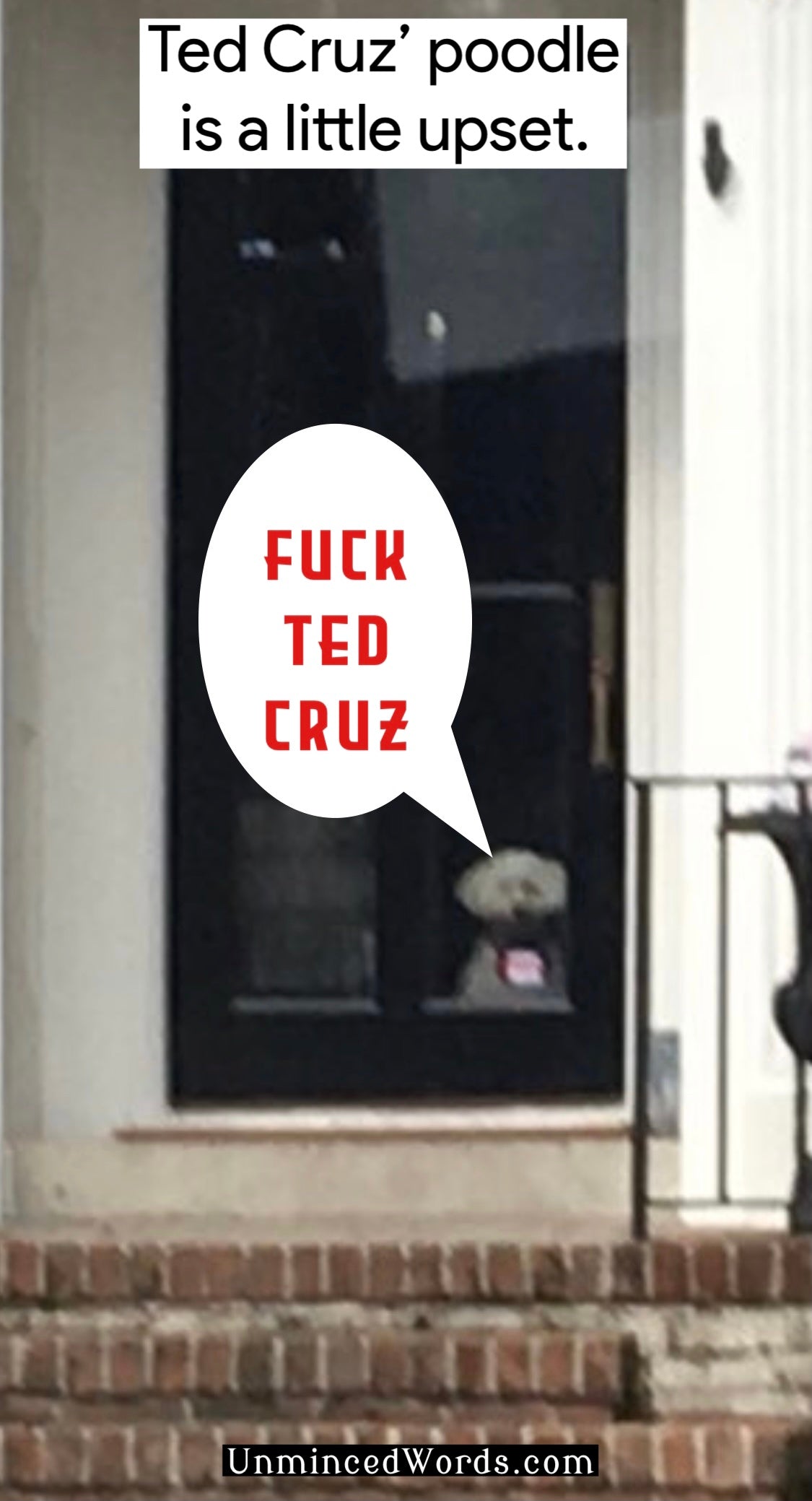 Ted Cruz’ poodle is a little upset.