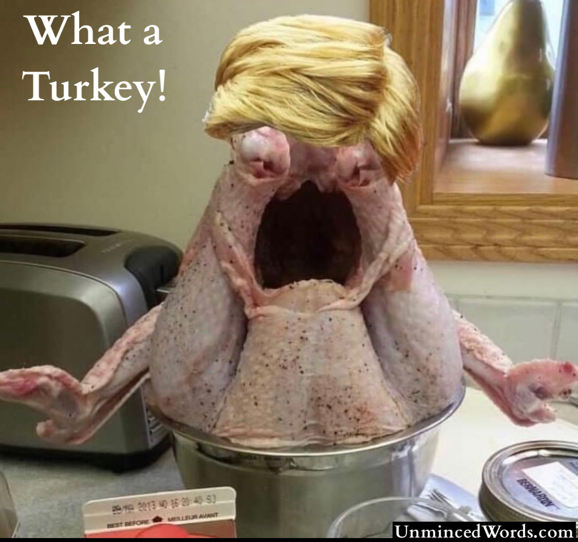 What a Turkey!