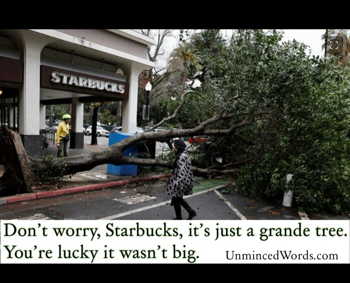Don’t worry, Starbucks, it’s just a grande tree.