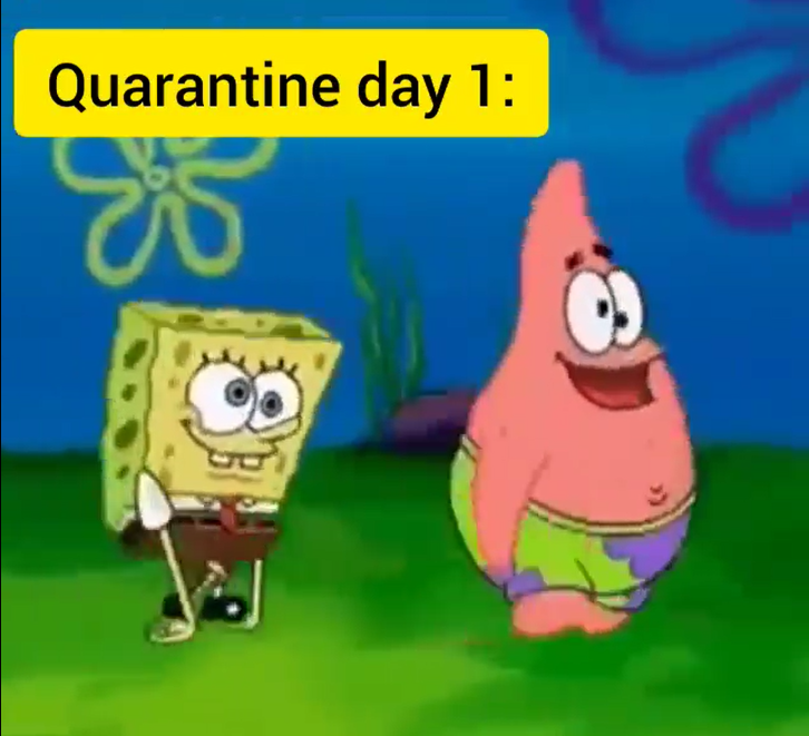 This quarantine vid clip day by day sums it up.
