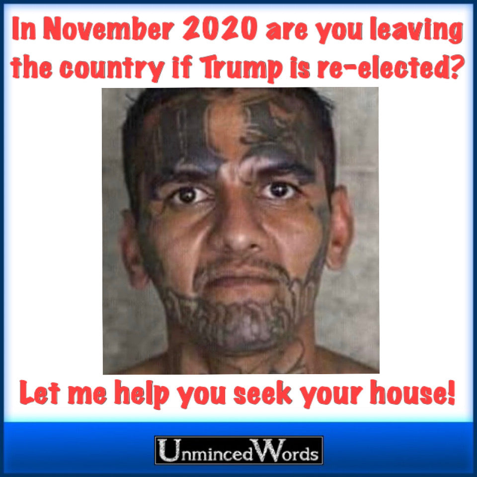 If Trump is re-elected, and you leave America, let me sell your house