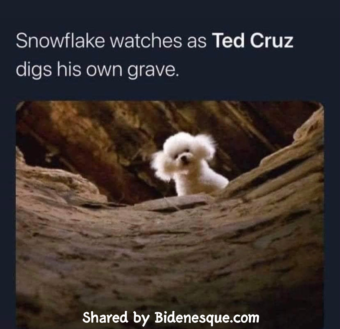 Snowflake watches as Ted Cruz digs his own grave