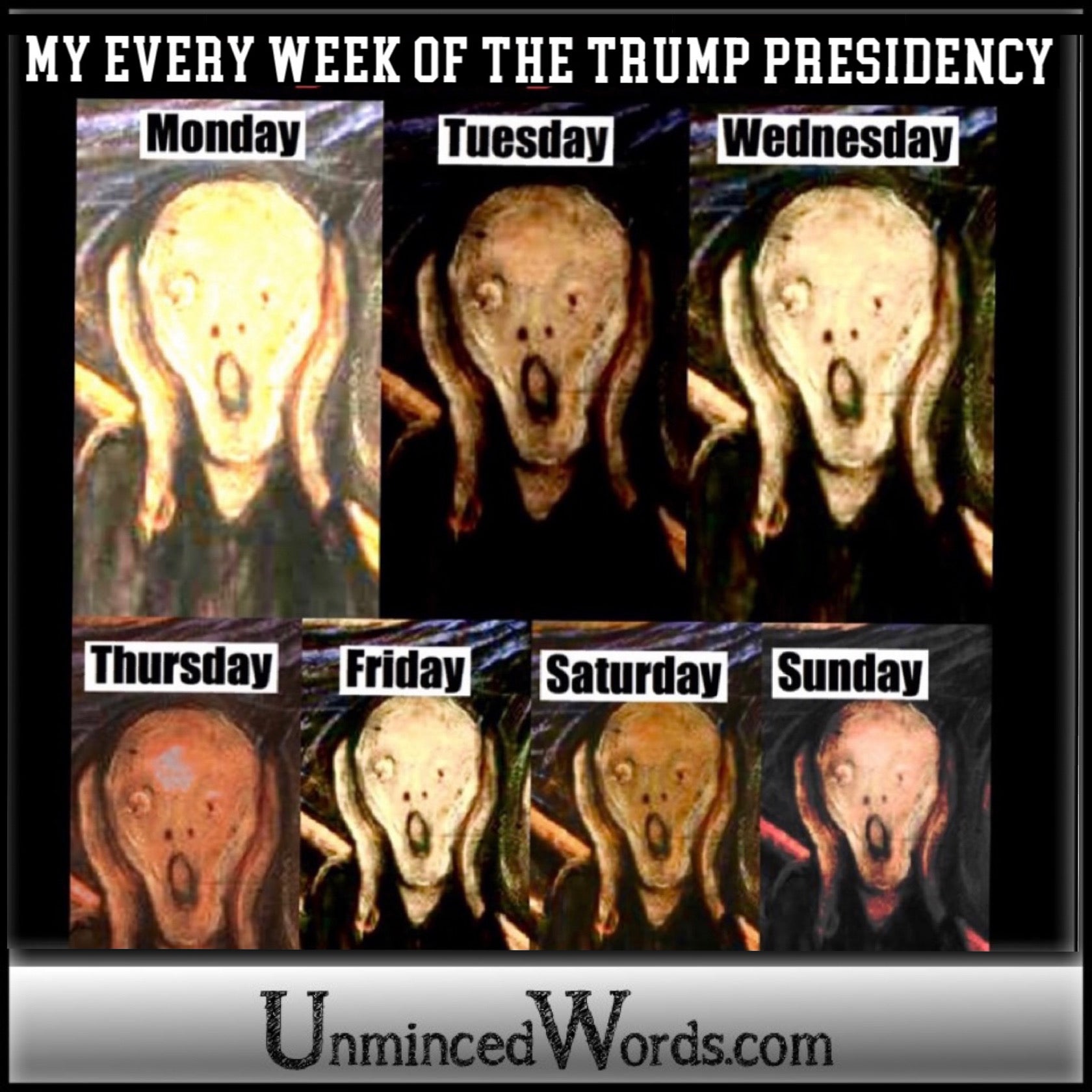 My every week of the Trump Presidency