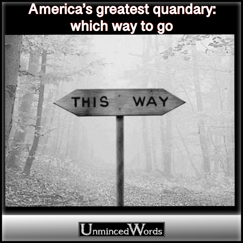Americans greatest quandary: which way to go