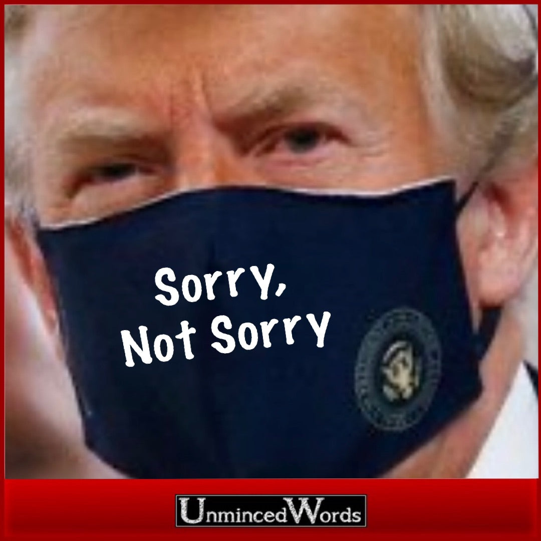 Trump’s mask gives rare insight into his thinking.