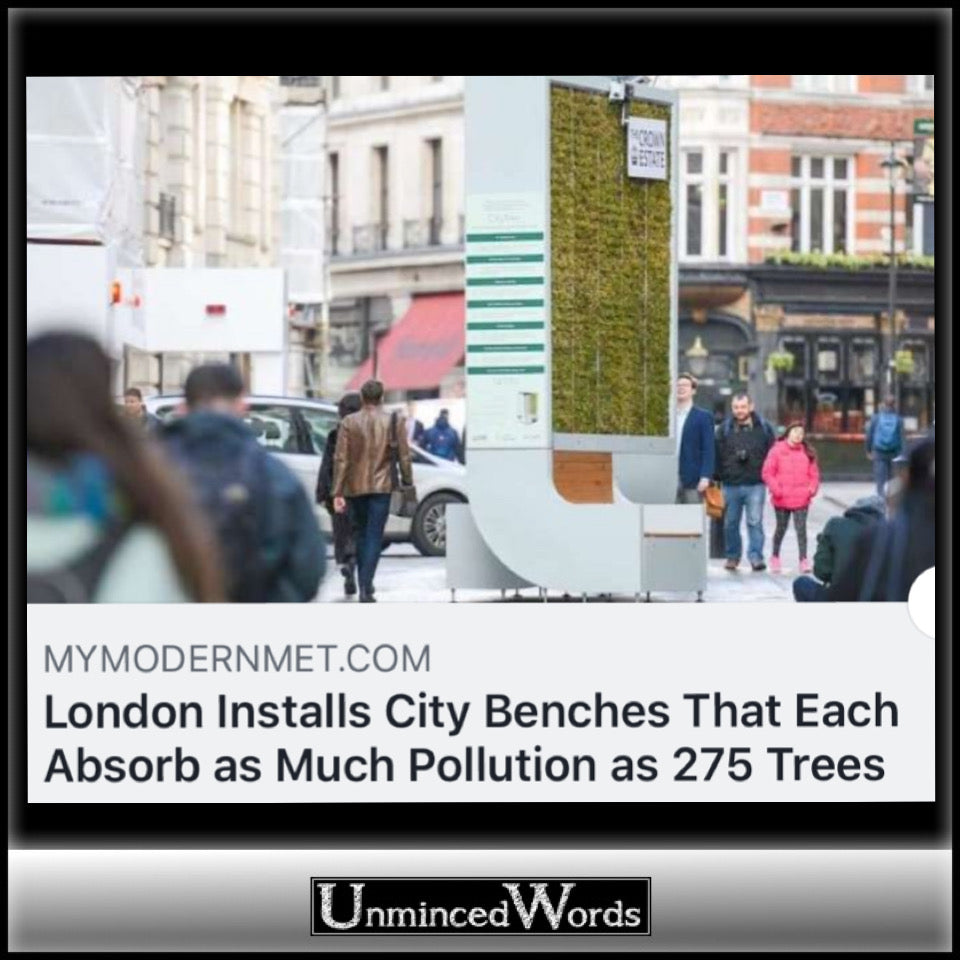 London's tree air pollution filter is a real thing.