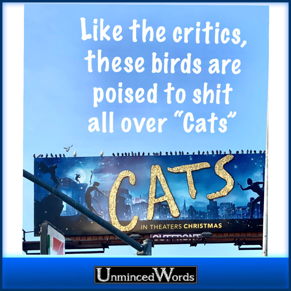 Like the critics, these birds are poised to shit all over cats