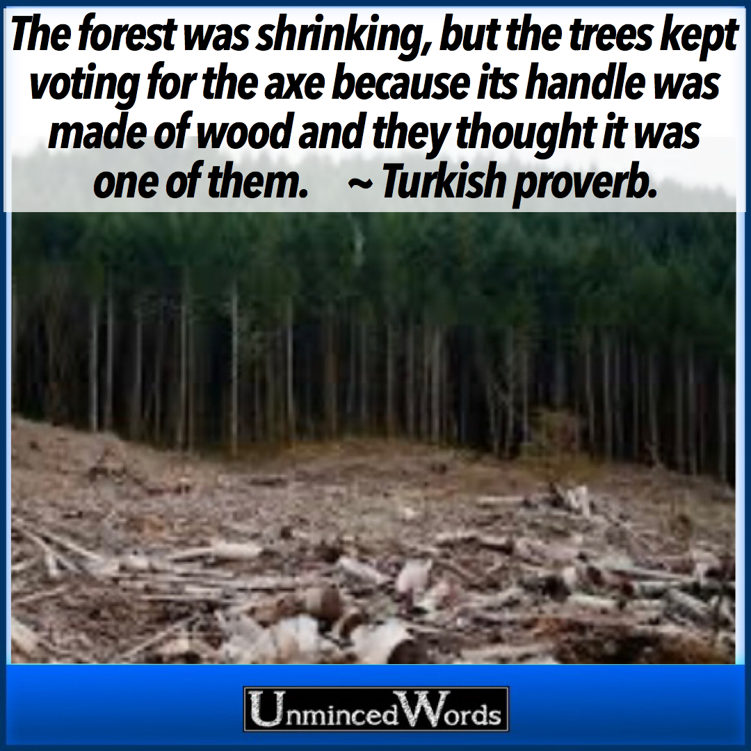 The Forest was shrinking- a proverb and warning