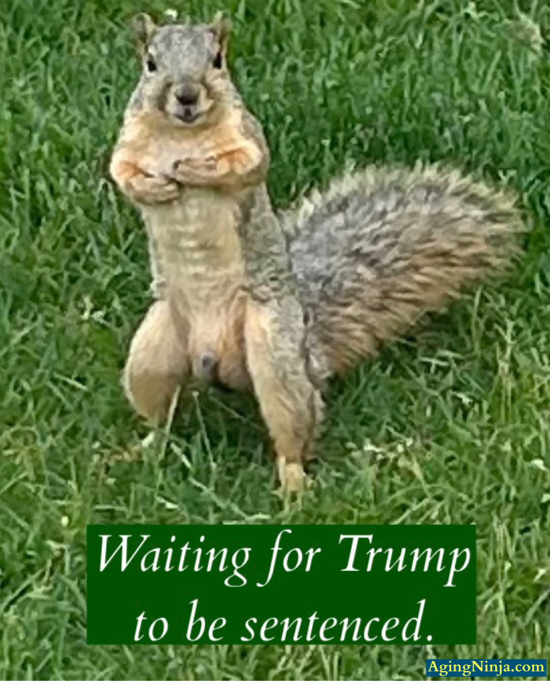 Waiting for Trump to be sentenced be like: